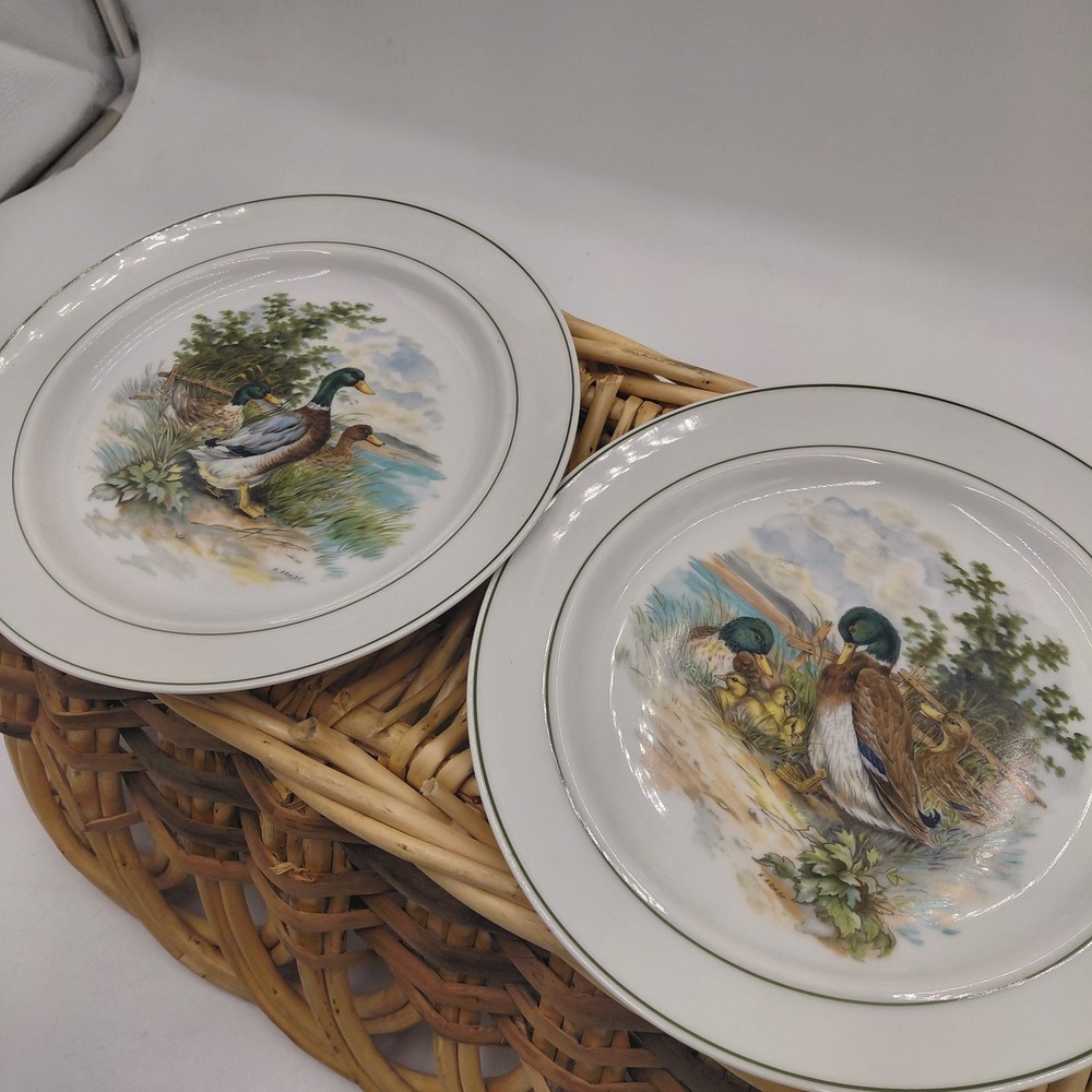 Vtg Duck Plate Set 2 JKW John Gould Widgeon Porcelain Bavaria Western Germany